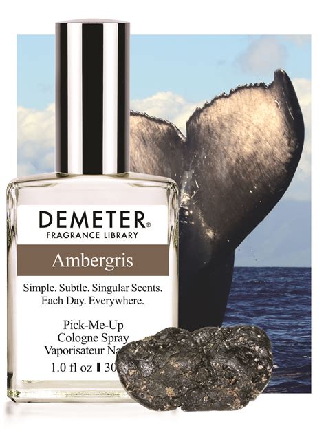 is ambergris still used in perfume|cologne made from whale sperm.